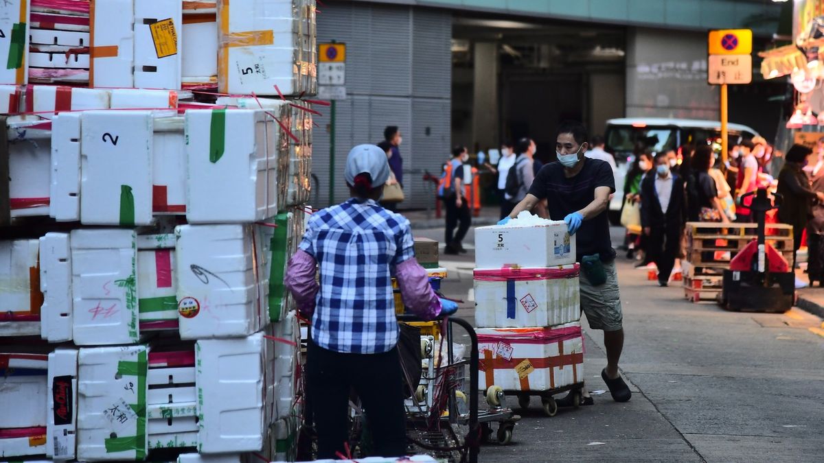 財政預算案民調：近四成人認為紓困措施比防疫工作重要！81%人促派消費券