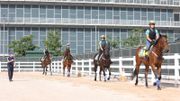 賽馬會招募賽事見習學員：6個條件、毋須策騎經驗！可升做騎師或練馬師！測試＋培訓詳情一覽