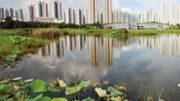 漁護署招聘｜行政助理月薪25,200元：負責為行政職能提供支持