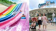 海洋公園門票買一送一優惠2022｜2人同行最平256元玩水上樂園＋海洋公園