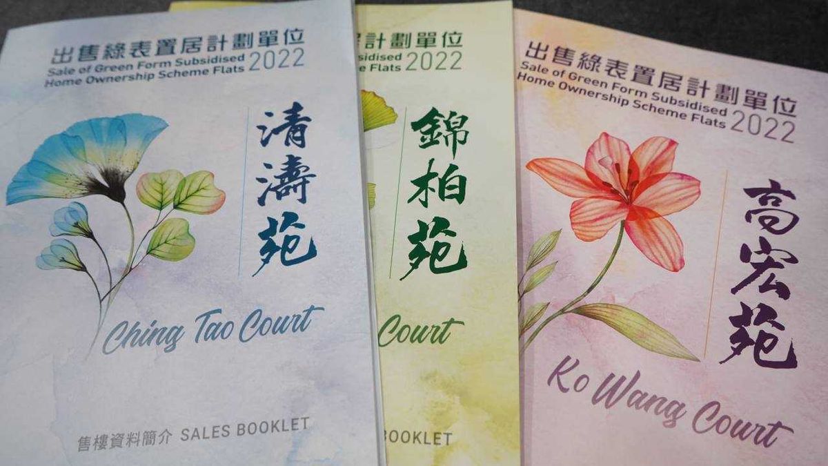綠置居, 居屋, 公屋, 不買綠置居10大原因, 上車, 業主, 餘貨, 貨尾
