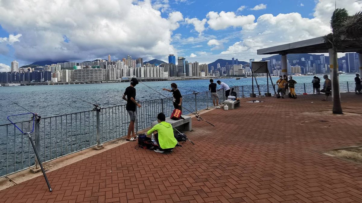 營商調查｜港企最常見3個可持續發展措施：減少或摒棄用紙