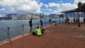 營商調查, 港企, 最常見3個, 可持續發展措施, 減少或摒棄用紙, 數碼文檔儲存和管理, 香港財經時報