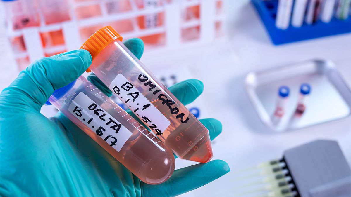 新冠疫情｜Omicron亞型BA.2的傳染力、致病率再提升？最新研究解開4大疑團