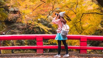 東瀛遊, 招聘, 包薪, 聘用, 日本導遊, 月薪, 領隊, 附人才招募開放日, 詳情, HKBT, 香港財經時報 