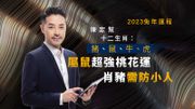 2023兔年運程陳定幫十二生肖：豬、鼠、牛、虎｜屬鼠超強桃花運｜肖豬需防小人