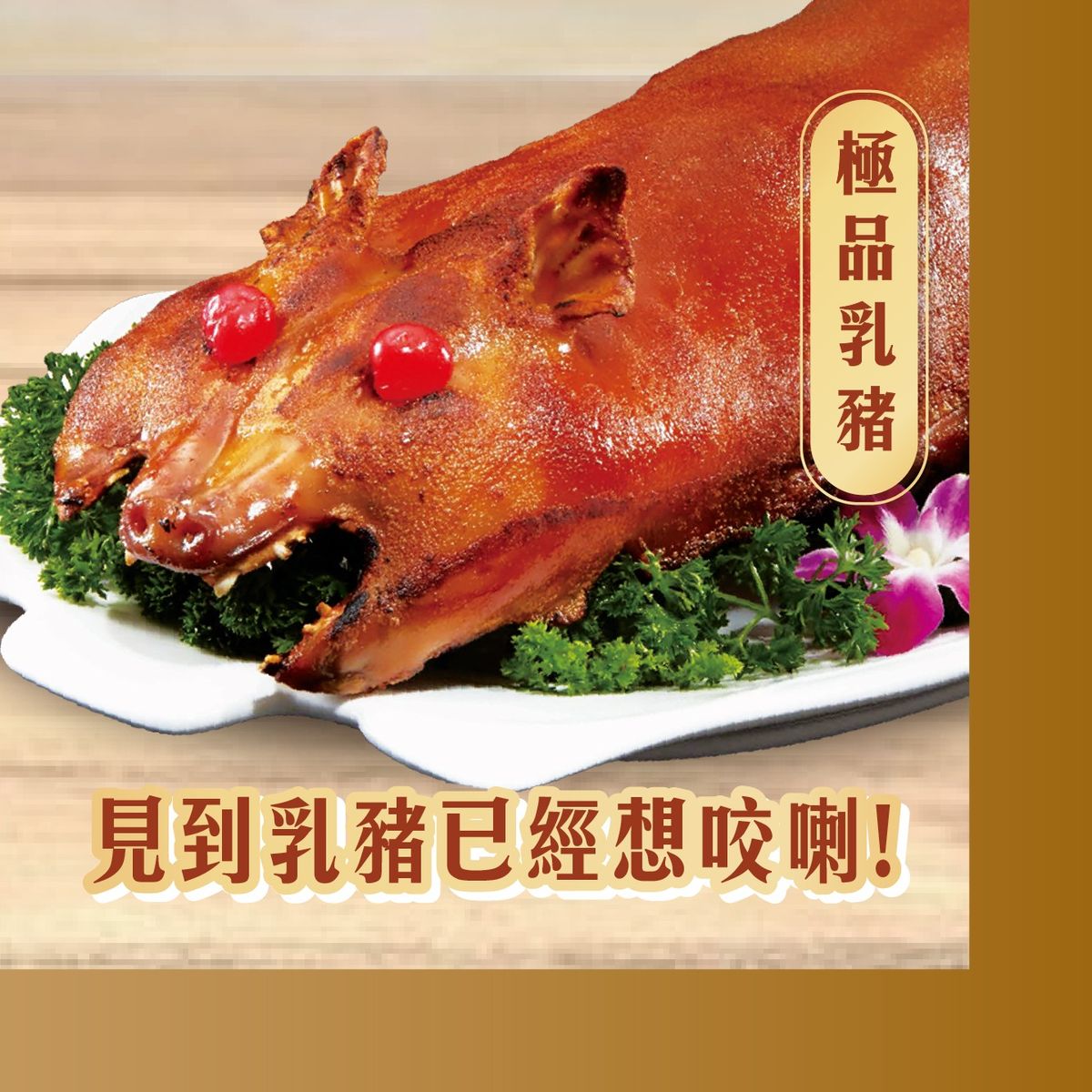 著數優惠, 茶皇殿, 1蚊優惠, 乳豬, 燒鵝, 走地雞, 附優惠詳情