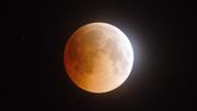 天文現象｜紅月11月8日現身：月全食＋月掩天王星｜附觀賞方法