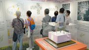 綠置居2022｜5萬份申請近11人爭1單位！10個原因41折都不上車