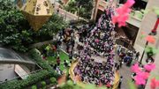 ESG投資｜近年興起擺放真聖誕樹、竟不如仿真聖誕樹環保