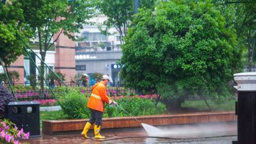 港股分析, 碧桂園服務, 目標價, 有聲有識