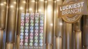 六合彩頭獎｜連續5期無人中｜累積獎金5,500萬、變相「冬至金多寶」｜近5年6個幸運號碼＋投注須知