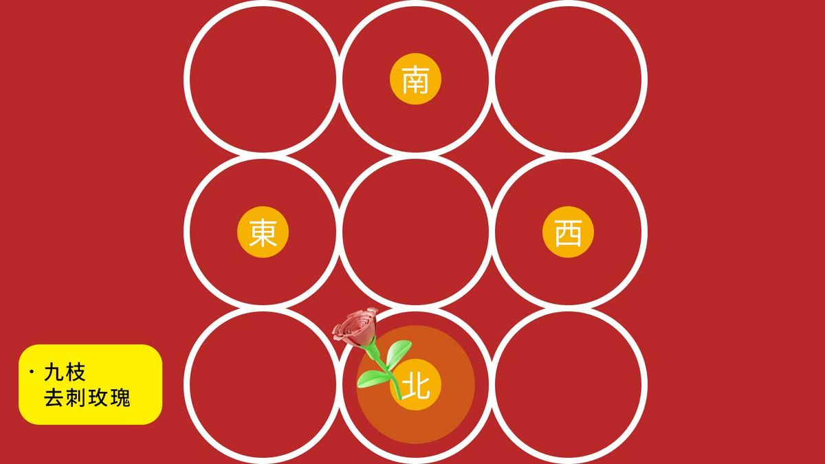 唐碧霞2023開運風水陣, 催財放豬仔錢箱, 想升職種富貴竹, 10種簡易風水佈局, HKBT, 香港財經時報