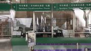 郵政署招聘｜揀信組助理時薪74元：毋須大學畢業、設四個工作地點 每周工作18至36小時｜附申請方法