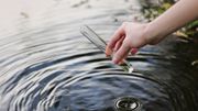 水務署招聘｜食水樣本檢驗員月薪14,965元：完成中四可申請