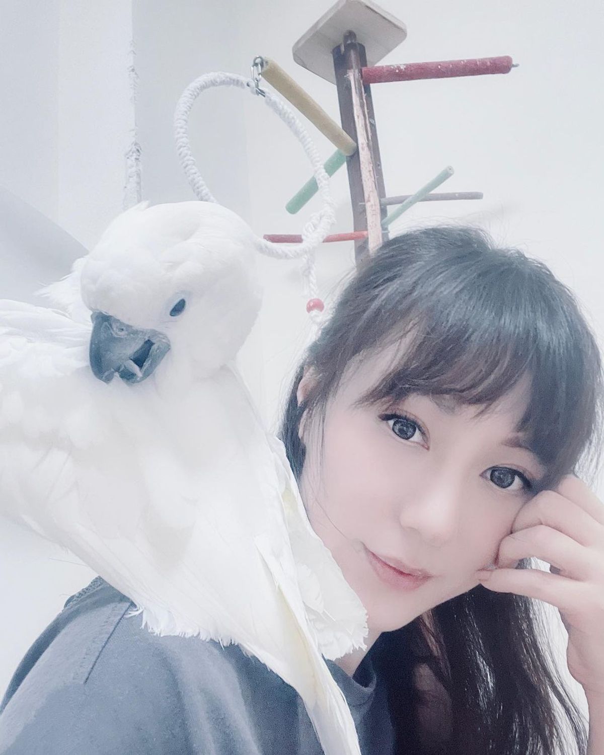 理財方法, 10位香港慳家女明星, 用積分換機票, 貼地搭港鐵, 經濟艙, 靠自己儲錢買樓, HKBT, 香港財經時報