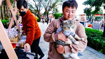 寵物保險, HKBT, 香港財經時報 