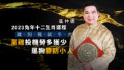 區仲德2023兔年十二生肖運程｜雞、狗、豬、鼠、牛、虎｜屬雞投機勞多獲少｜屬狗要防小人