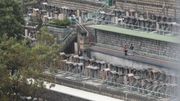 食物環境衞生署招聘公務員｜二級工人月薪14,075元｜毋須大學畢業、協助撿拾骨殖｜附申請方法