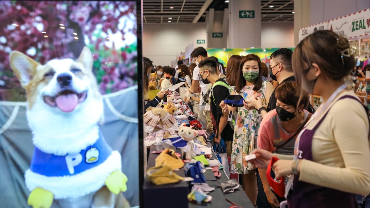 香港寵物節2023｜3大精彩貓狗活動｜冠軍貓展、狗展｜附比賽報名方法+購票詳情+入場須知