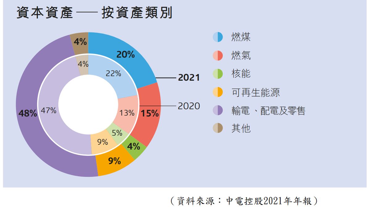 按能源類別劃分的資產