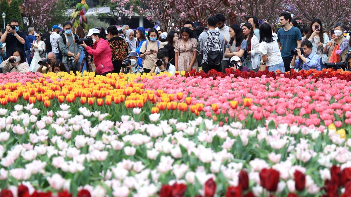 康文署招聘公務員｜三級康樂助理員月薪20,540元：毋大學畢業