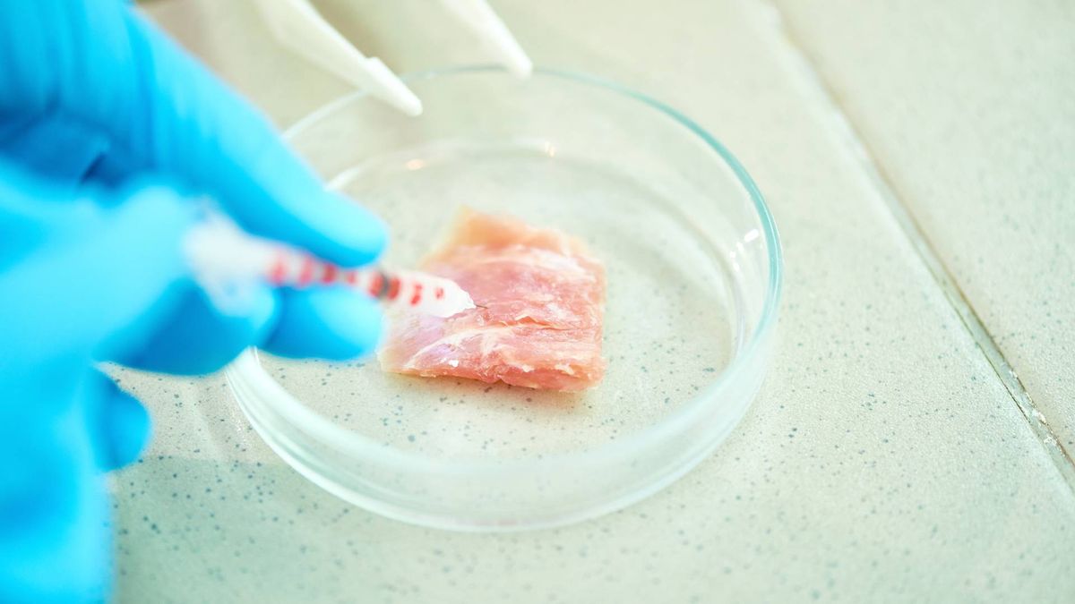 ESG投資｜2035年培植肉將比真實肉類便宜10倍｜華語產經