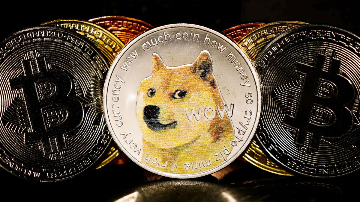 Web3入門｜加密貨幣狗狗幣投資價值：市場對太空探索失敗反應