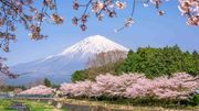 日本旅遊2023｜自駕遊GPS勿望多2秒：10個港人遊日必知法律