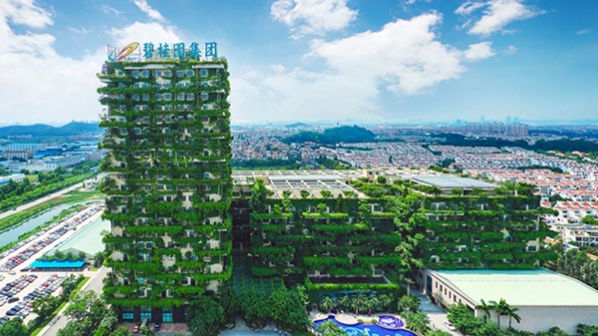 港股分析｜碧桂園為例解釋群鷹獵食形態！領略複合陰陽燭利淡應用｜聶Sir學堂