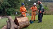民眾安全服務處招聘｜活動助理月薪18,120元：毋須大學畢業、籌備青年招聘工作｜附申請方法