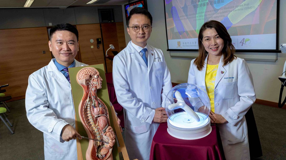 醫療健康｜中大醫學院研究證實：改善腸道微生態可紓緩新冠後遺症徵狀
