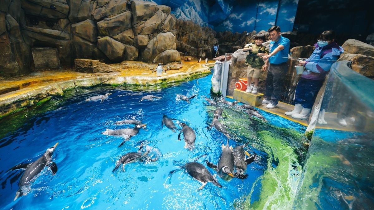 親子好去處2023, 暑假親子活動, 海洋公園暑假親親動物, 水上體驗, 夏日歷險課程推介, 報名, 費用, 香港財經時報