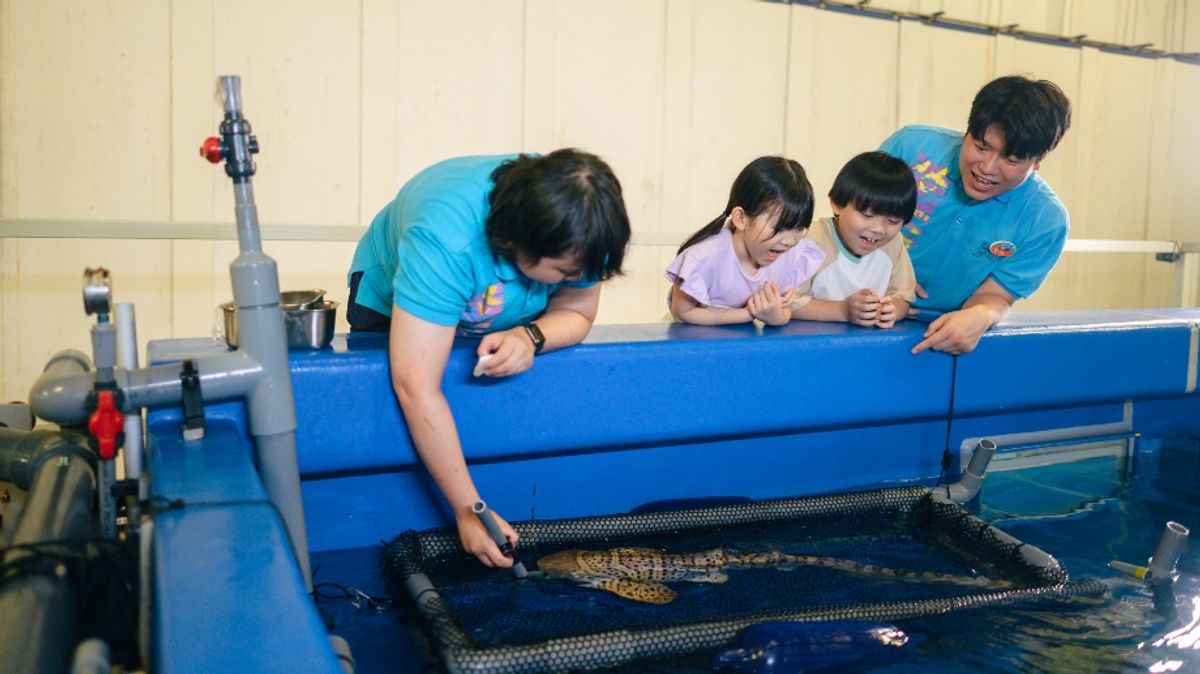 親子好去處2023, 暑假親子活動, 海洋公園暑假親親動物, 水上體驗, 夏日歷險課程推介, 報名, 費用, 香港財經時報