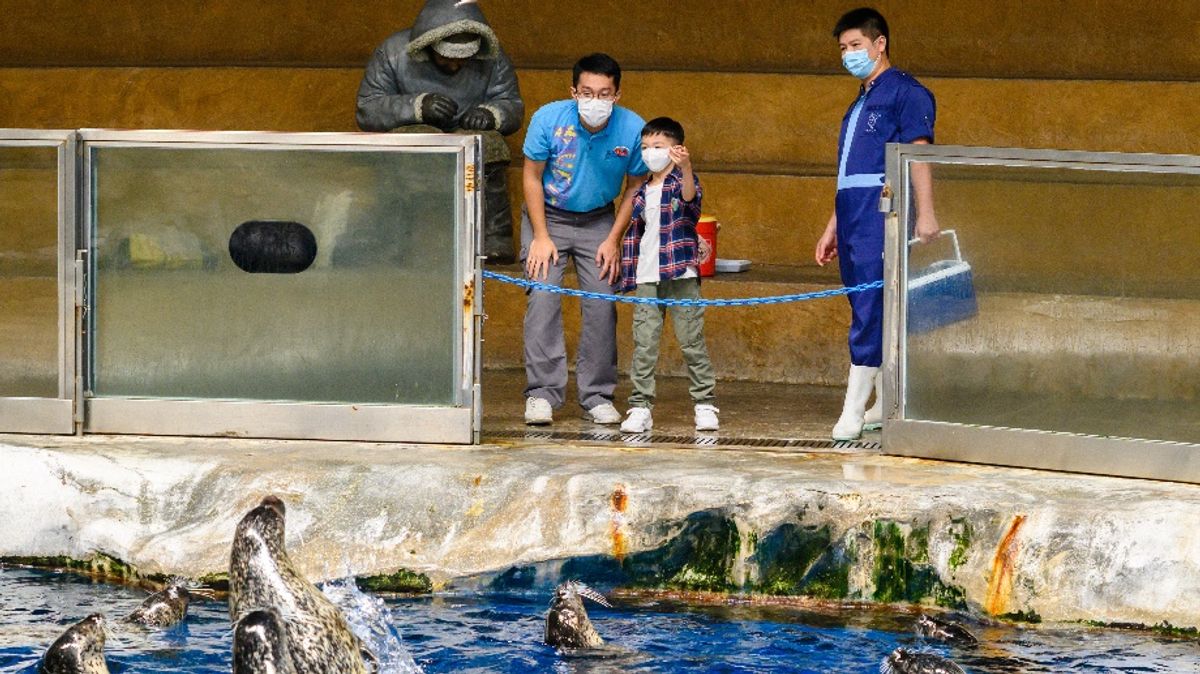 親子好去處2023, 暑假親子活動, 海洋公園暑假親親動物, 水上體驗, 夏日歷險課程推介, 報名, 費用, 香港財經時報