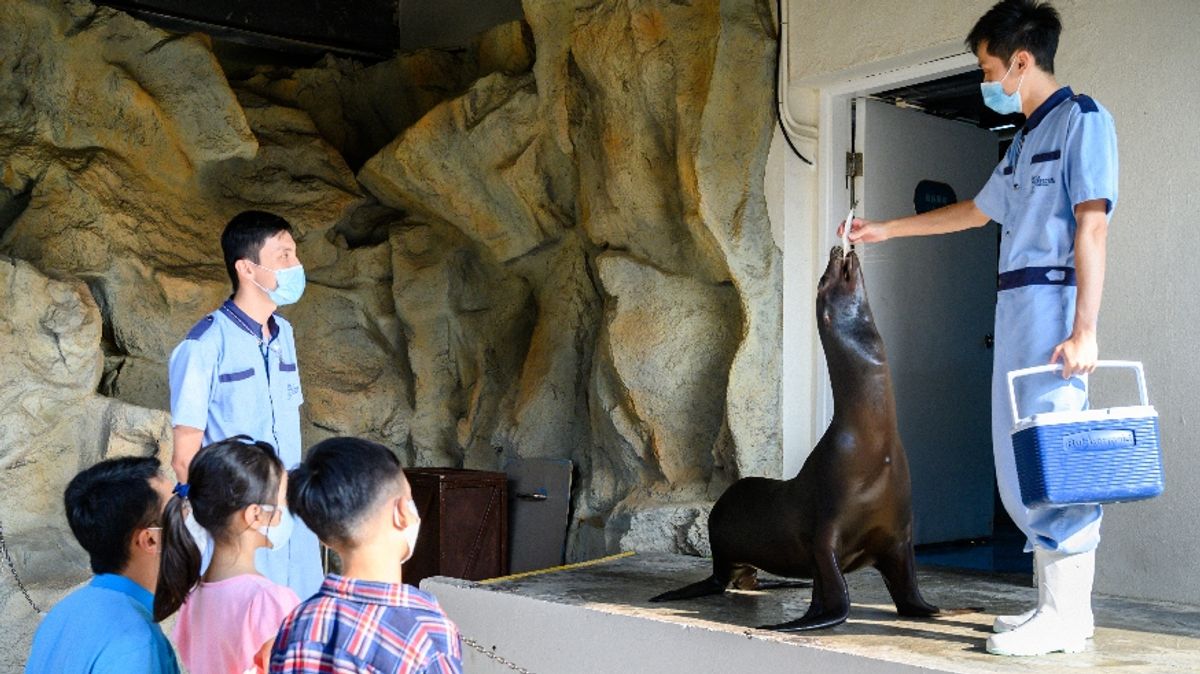 親子好去處2023, 暑假親子活動, 海洋公園暑假親親動物, 水上體驗, 夏日歷險課程推介, 報名, 費用, 香港財經時報