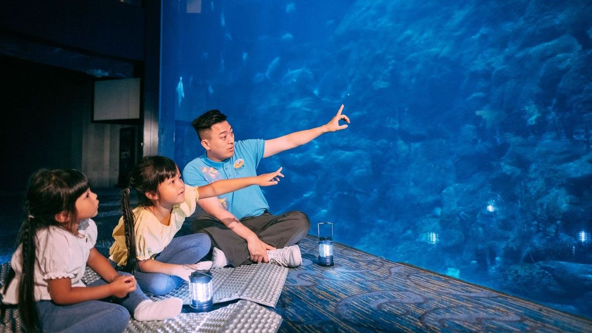 親子好去處2023｜海洋公園暑假親親動物、水上體驗！6個夏日歷險課程推介＋費用