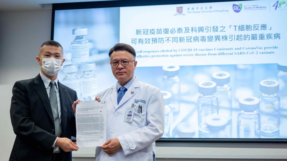 醫療健康｜中大研究：打科興復必泰後引發免疫T細胞！每次感染即重新激活