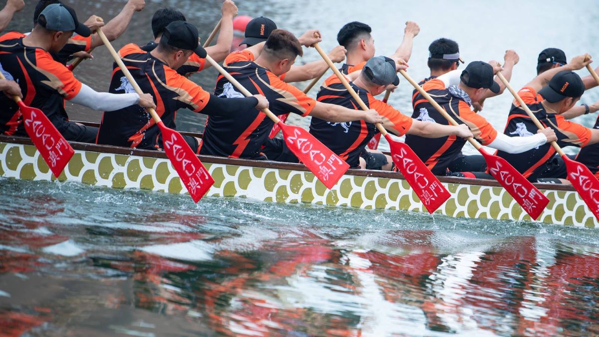 香港好去處｜端午節扒龍舟課程｜初級課程300元玩1日｜3個康文署課程優惠＋申請方法