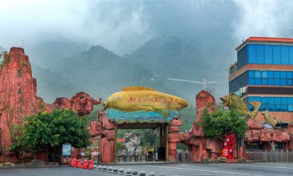 深圳, 大灣區, 跨境理財, 廣東旅遊年卡暢玩70多個景點, 奇幻冰雪世界, 水上樂園, 購買方法, 注意事項, 15個熱門景點一覽, hkbt, 香港財經時報