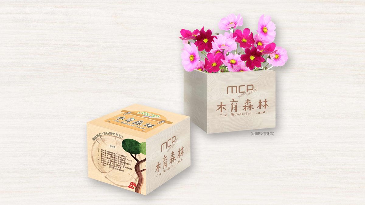 親子好去處2023, 木育主題玩樂園, 6米高森林樹屋, 互動體感遊戲, 香港財經時報