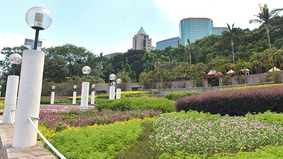 親子好去處｜九龍公園「認識食用植物」攤位遊戲＋免費種植體驗