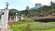 親子好去處｜九龍公園「認識食用植物」攤位遊戲＋免費種植體驗