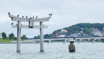 著數優惠, 日本, 國泰, 福岡, 東瀛遊, 推國泰機票買一送一, 福岡連兩晚住宿人均3000元, 即日起至下年一月出發, hkbt, 香港財經時報