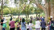 香港好去處｜粉嶺高球場開放公眾免費入場｜開放時間+交通安排