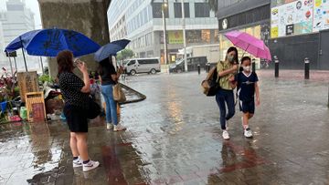 天文台颱風消息, 一號風球, 8號風球, 9天預報, HKBT, 香港財經時報 