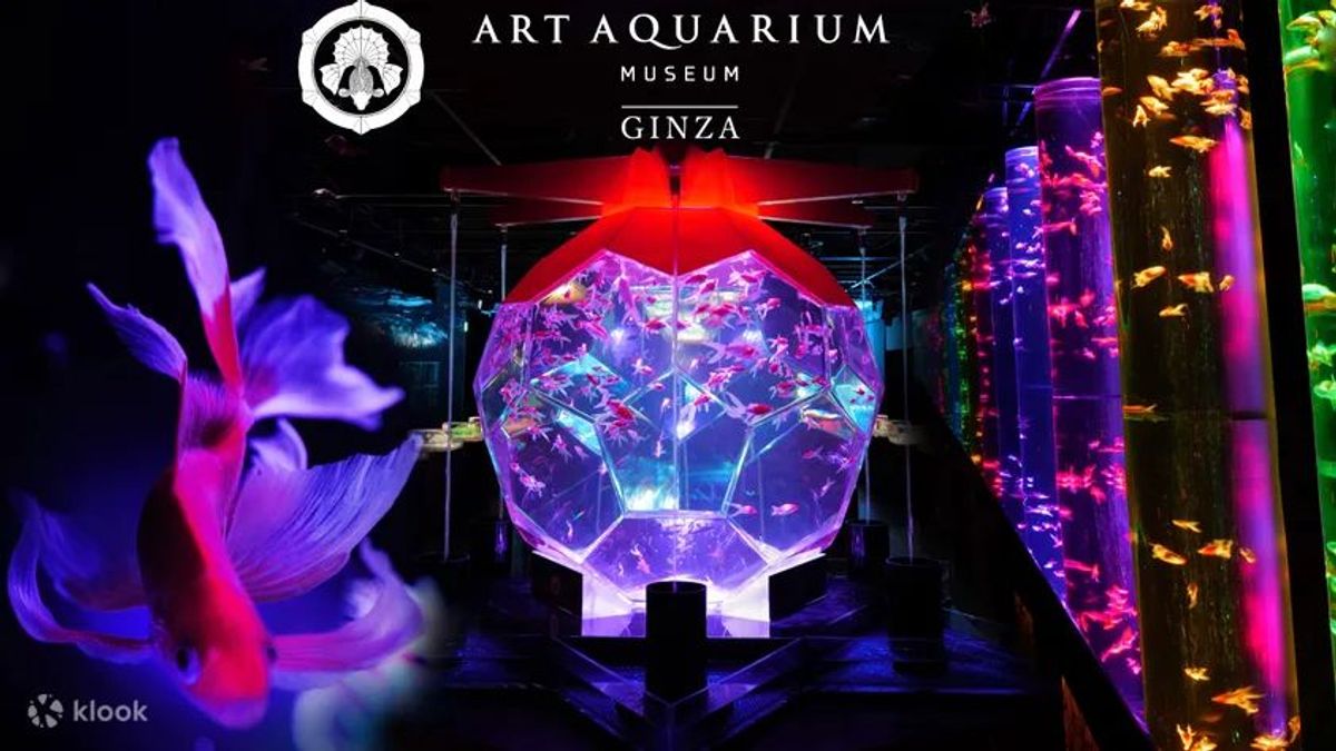 東京銀座藝術水族館