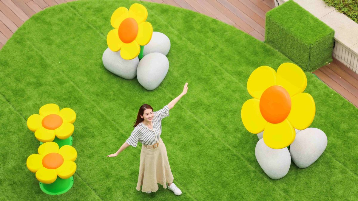 香港好去處2023, 親子好去處, 親子活動, 青衣城戶外全新打卡位, 星光稻草園, 巨型雛菊, 綠色迷宮, 香港財經時報