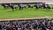 賽馬會宣布：6月及7月沙田馬場舉行7場黃昏賽事｜附日期及時間
