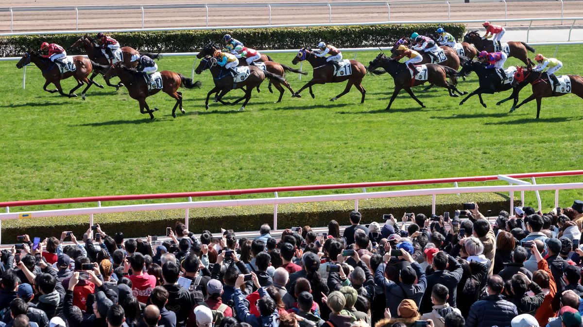 賽馬會宣布：6月及7月沙田馬場舉行7場黃昏賽事｜附日期及時間